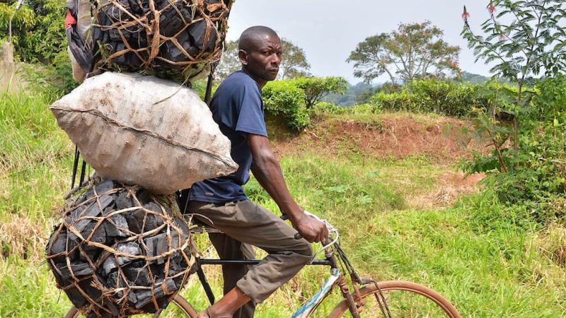 Charcoal Conflict in Climate Change’s Decarbonisation Dilemmas: Knots of Livelihood, Nutrition, Communities, Gender, Migration and Energy in East Africa.